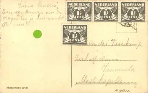 Ak Hund, Airdeale Terrier