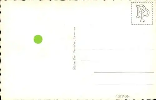 Ak Bernhardiner, Hund