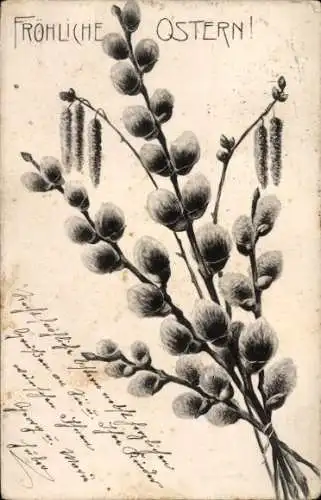 Ak Glückwunsch Ostern, Weidenkätzchen