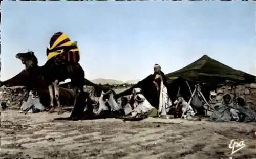 Ak Algerien, Nomadenlager in der Wüste, Kamel