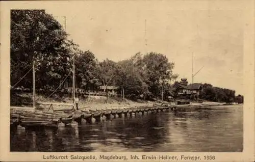 Ak Magdeburg an der Elbe, Salzquelle