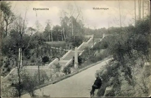 Ak Eberswalde in der Mark, Moltketreppe