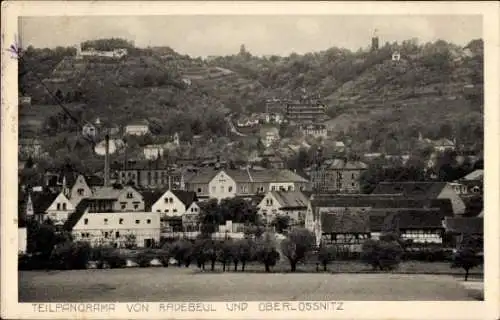 Ak Radebeul Sachsen, Teilpanorama von Radebeul und Oberlössnitz