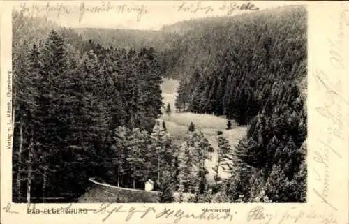 Ak Elgersburg in Thüringen, Körnbachtal