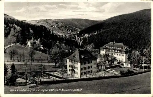 Ak Bärenstein Altenberg Erzgebirge, Aussicht auf Bärenfels, Kipsdorf, Waldlandschaft, architek...