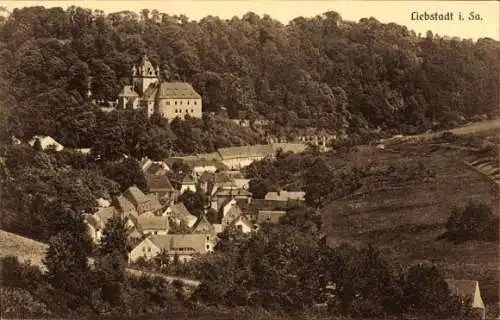 Ak Liebstadt Erzgebirge Sachsen, Hügel mit Schloss, Wohnhäuser, grüne Landschaft