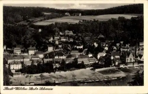 Ak Stadt Wehlen an der Elbe Sächsische Schweiz, Stadt  eine malerische Ansicht, Häuser, Landsc...