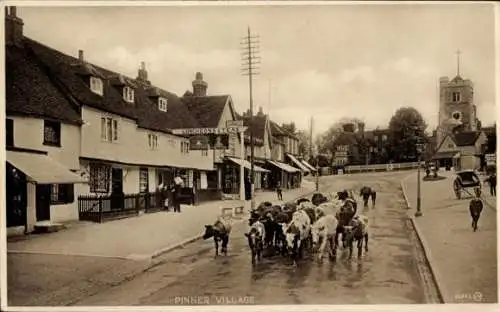 Ak Pinner London City, Straße, Kühe