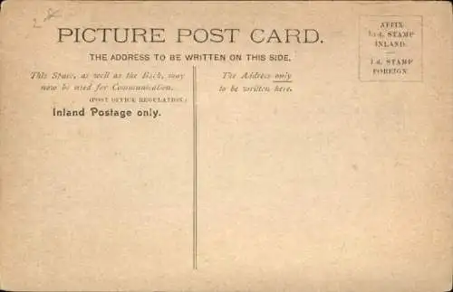 Ak Saint Martin Jersey Kanalinseln, Landschaft mit Allee, karrenfahrender Person, Bäume beidse...