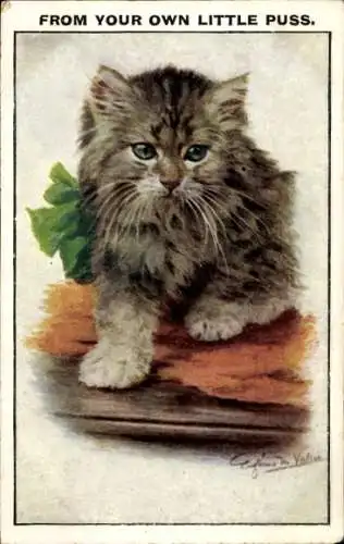 Künstler Ak Valter, Junge Katze, Kätzchen, grüne Schleife
