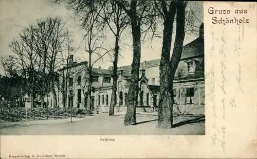 Ak Berlin Pankow Niederschönhausen Schönholz, Schloss