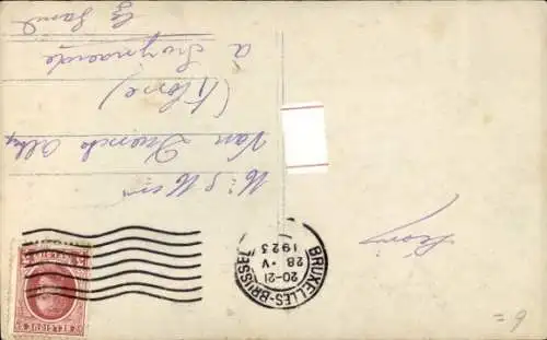 Ak Hund, Tierportrait