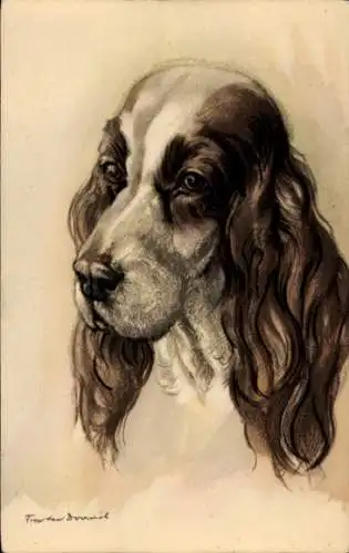 Künstler Ak Hund, Tierporträt, Spaniel