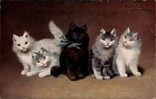 Künstler Ak Sperlich, S., Fünf Katzen, schwarze Katze mit blauer Schleife, TSN Serie 1564