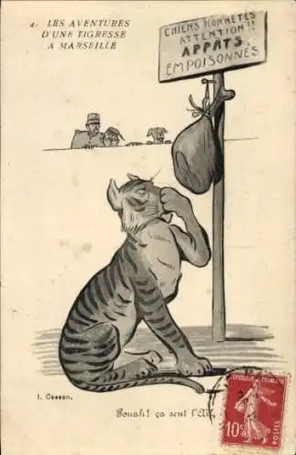 CPA Les Aventures d'une Tigresse a Marseille