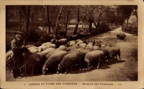CPA Les Pyrénées, Hirte, Schafe