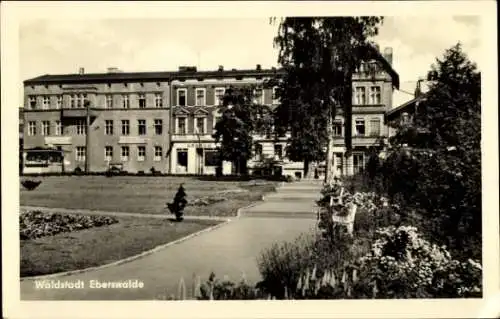Ak Waldstadt Eberswalde, Konsum in der Friedrich Ebert Straße