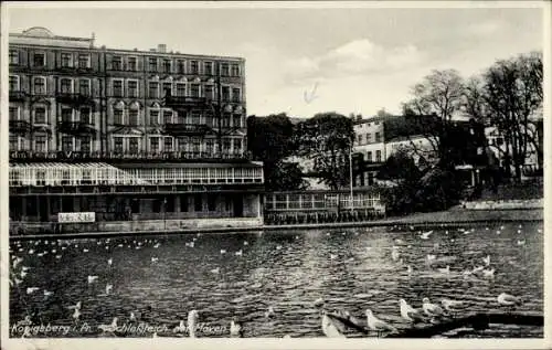 Ak Kaliningrad Königsberg Ostpreußen, Schlossteich, Möwen