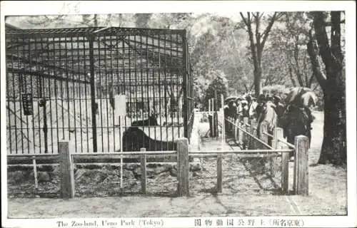 Ak Ueno Tokyo Tokio Japan, Zoo im Ueno Park, historisches Gehege, Tierhaltung, Besucher
