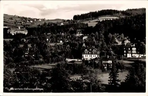 Ak Bärenfels Altenberg im Erzgebirge, Teilansicht
