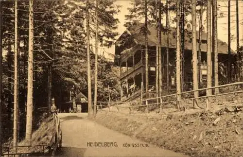 Ak Heidelberg am Neckar,  Königsstuhl, Wald, Gebäude, Straße, Postkarte