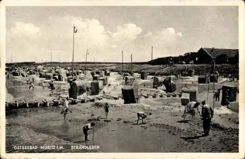 Ak Ostseebad Graal Müritz,  Strandleben, Strandkörbe