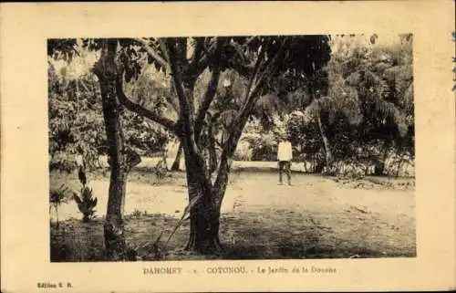 Ak Cotonou Dahomey Benin, Baum, Spaziergang, Garten, Landschaft, Person