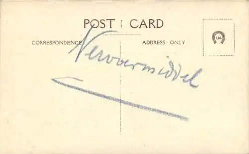 Ak Singapur, Ochsengespann, Palmenallee