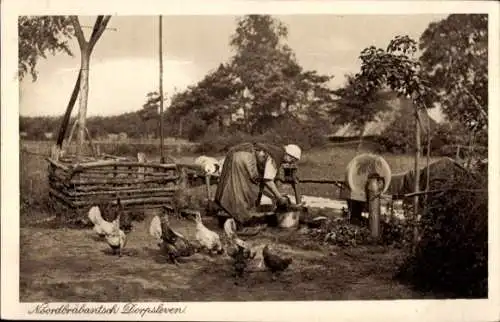 Ak Noordbrabantsch Dorpsleven, Hühner