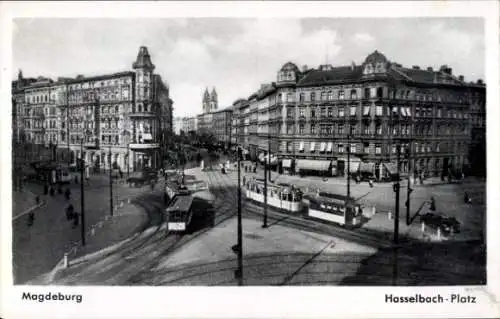 Ak Magdeburg an der Elbe, Hasselbach-Platz, Straßenbahnen