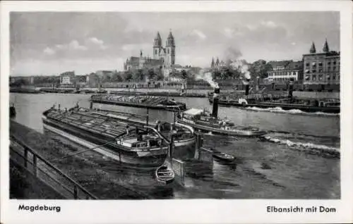Ak Magdeburg an der Elbe, Elbansicht, Dom, Dampfschiffe