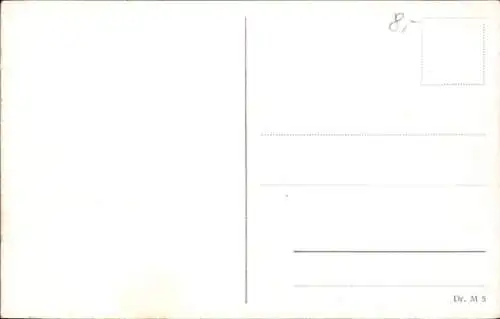 Ak Magdeburg an der Elbe, Elbansicht, Dom, Dampfschiffe