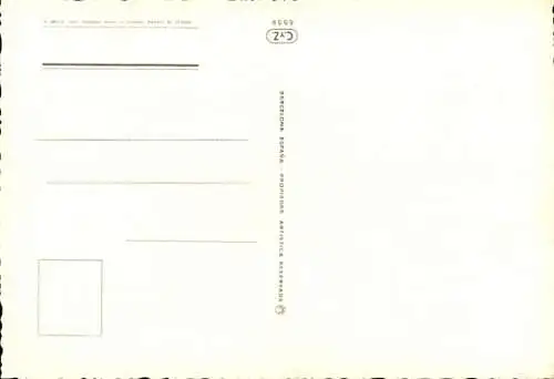 Ak Frau in Bikini, Wasser, Flossen