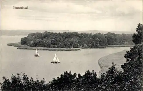 Ak Berlin Zehlendorf Wannsee, Pfaueninsel, Bild der  zwei Segelboote, Natur, Wasser