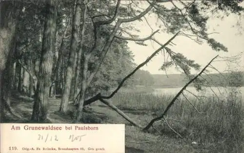 Ak Berlin Zehlendorf Dahlem, Paulsborn, Naturaufnahme, Wald, See, einsame Landschaft