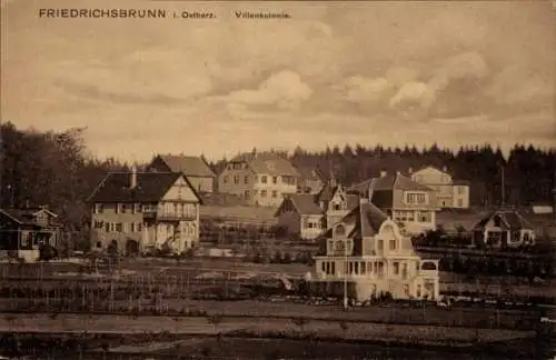 Ak Friedrichsbrunn Thale im Harz, Villenkolonie