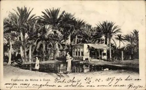Ak Suez Ägypten, Fontaine de Moïse, Palmen, Wasserstelle, Postkarte