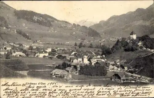 Ak Château d'Œx Oex Kanton Waadt Schweiz, Gesamtansicht