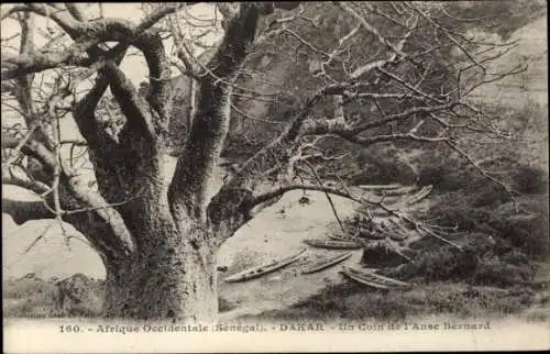 Ak Dakar Senegal, Baum, Boote im Wasser, natürliche Umgebung, Afrika