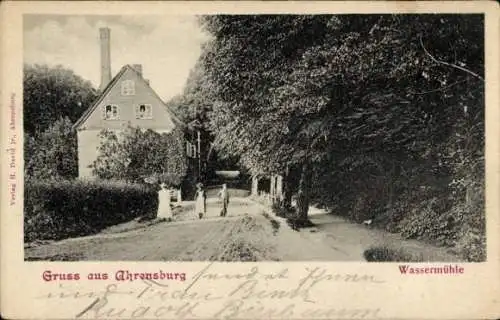 Ak Ahrensburg in Holstein, Wassermühle