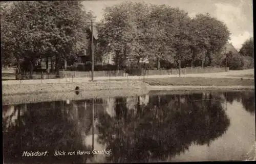 Ak Hoisdorf in Schleswig-Holstein, Harms Gasthof