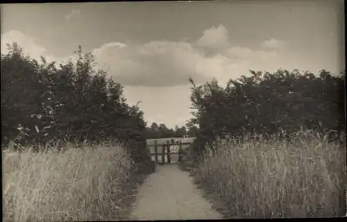 Ak Hoisdorf in Schleswig-Holstein, Harms Gasthof, Feld