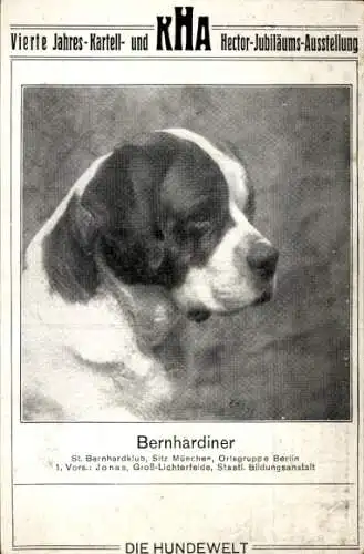 Ak Seitenportrait eines Bernhardiners, Sportblatt Die Hundewelt