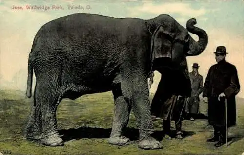 PC Toledo Ohio USA, Jose, Walbridge Park, Elephant