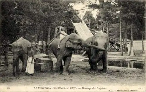 Ak Kolonialausstellung 1907, Elefantentraining