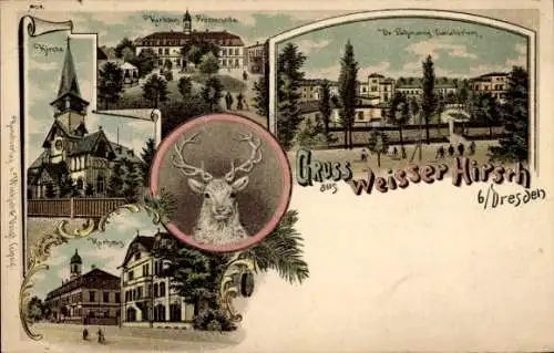 Litho Dresden Weißer Hirsch, Kurhaus Promenade, Kirche, Dr. Lahmanns Sanatorium