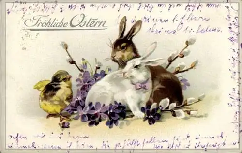 Ak Frohe Ostern, Osterhasen, Küken, Weidenkätzchen, Veilchen