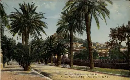 Ak Hyères les Palmiers Var, Alexis Godilot Straße, Palmen, Panorama