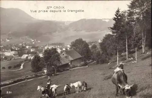 Ak Sainte Croix Kanton Waadt, Panorama, La Grangette, Weide, Kuh, Ziegen