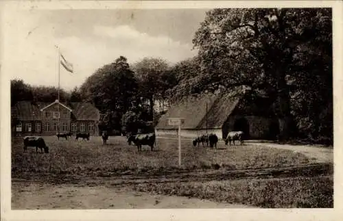 Ak Ahrensburg in Holstein, Restaurant Forsthaus Hof Hagen